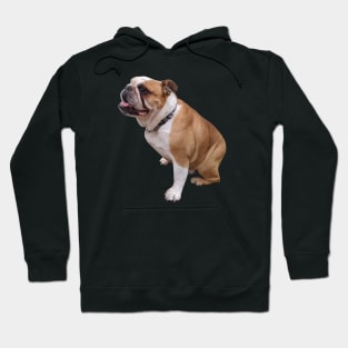 Watson Hoodie